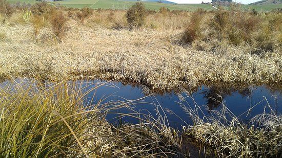 Sinclair Wetlands