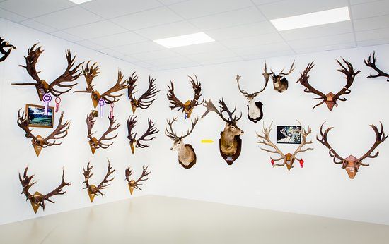 The World of Deer Museum & Speciality Shop