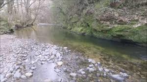 Silver Stream