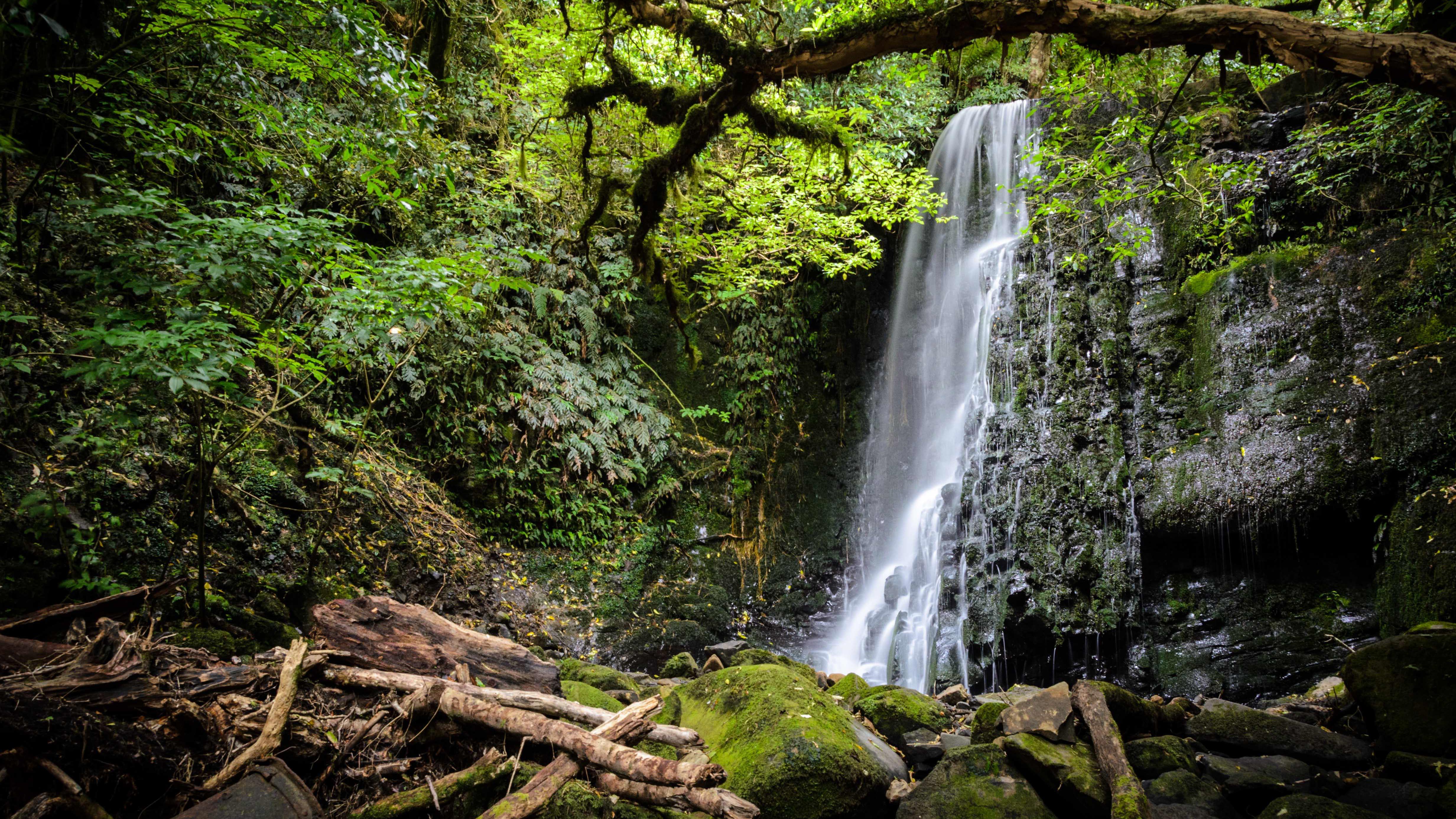 Matai Falls
