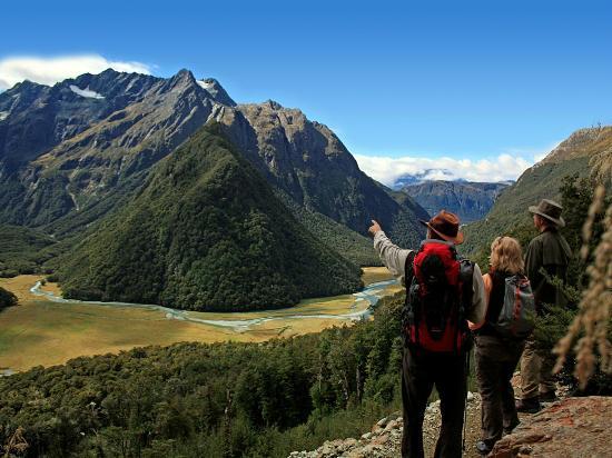 Guided Walks New Zealand