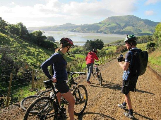 Offtrack MTB Tours - Day Tours