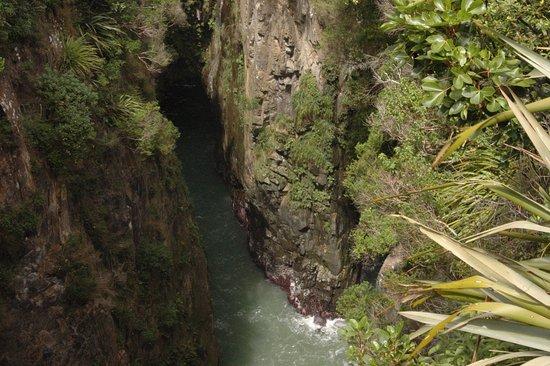 Jacks Blowhole Track