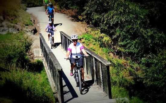 E-Bikes 4 Trails