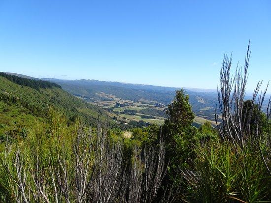 Wild Earth Adventures