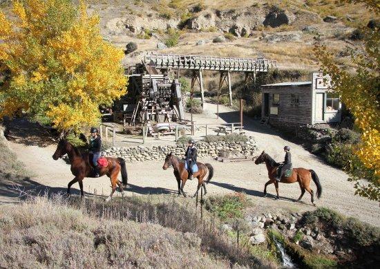 Goldfields Horse Treks