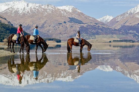 Dart River