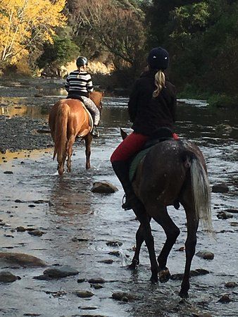Sanctum Grove Equine