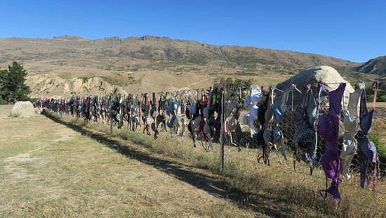 Cardrona Bra Fence